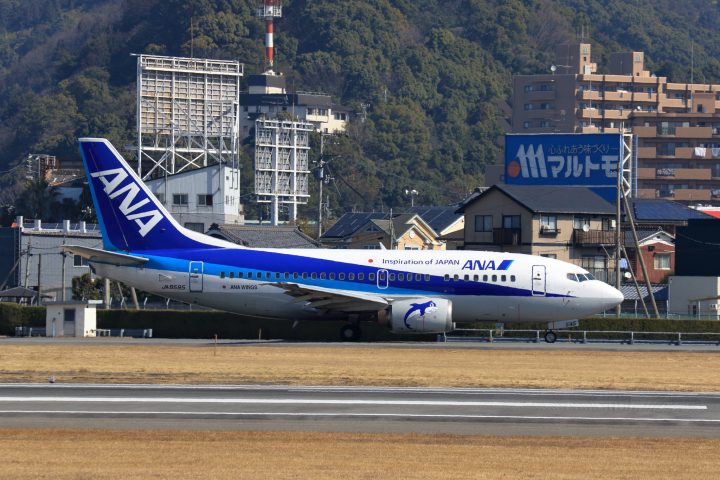 写真:JA8595
