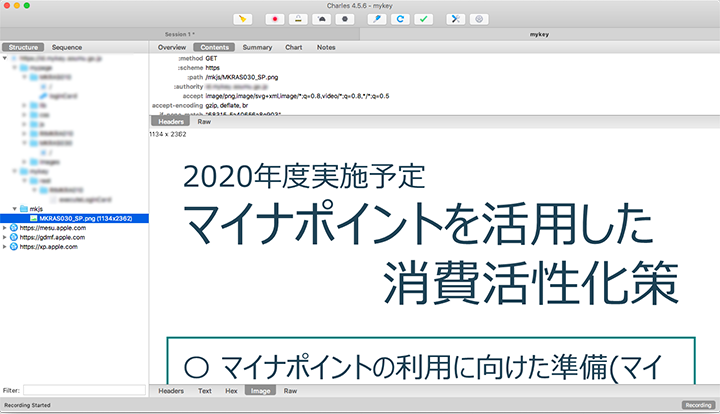 画面キャプチャ：Charles Web Debugging Proxyで調査している様子。本文部分に配置された画像が表示されている。