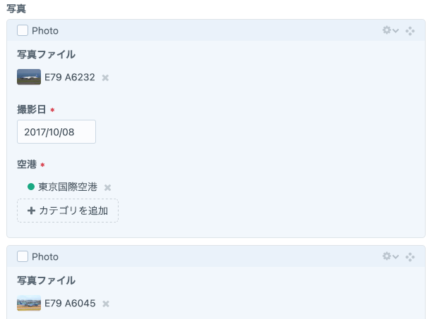 写真・日付・カテゴリがセットになったフィールドの様子