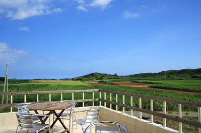 心地よいさとうきび畑